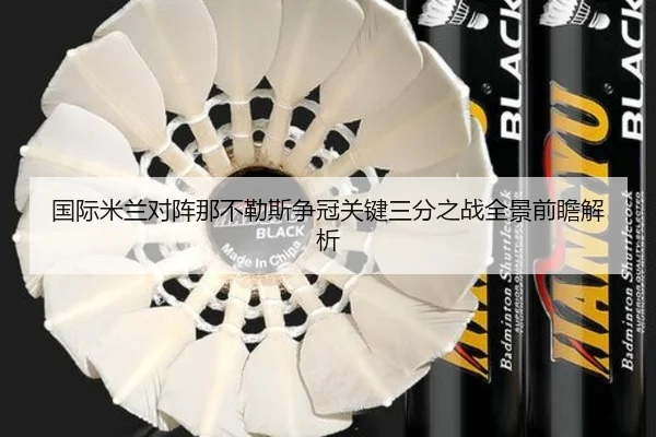 国际米兰对阵那不勒斯争冠关键三分之战全景前瞻解析